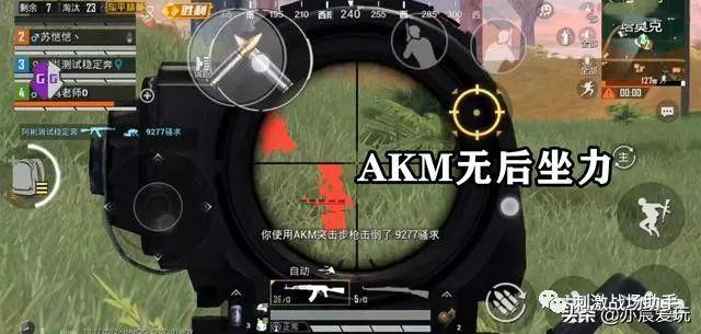和平精英《北极熊》辅助